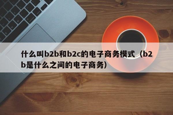 什么叫b2b和b2c的电子商务模式（b2b是什么之间的电子商务）