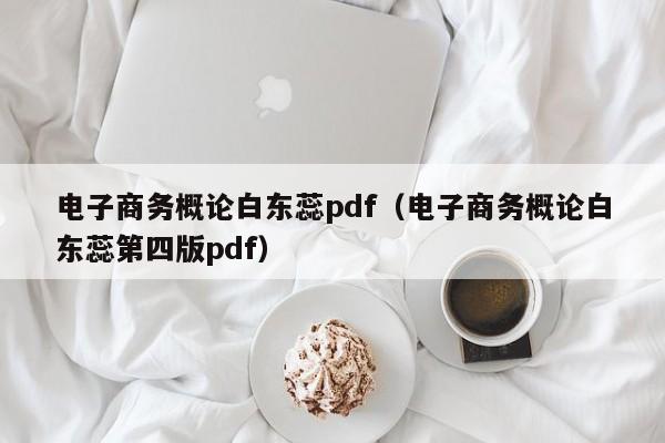 电子商务概论白东蕊pdf（电子商务概论白东蕊第四版pdf）