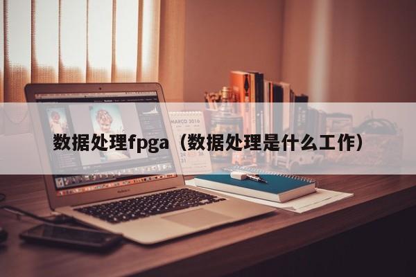 数据处理fpga（数据处理是什么工作）