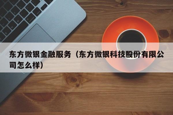 东方微银金融服务（东方微银科技股份有限公司怎么样）