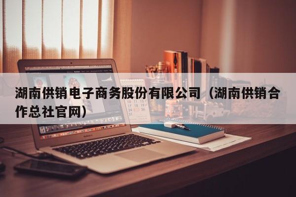 湖南供销电子商务股份有限公司（湖南供销合作总社官网）