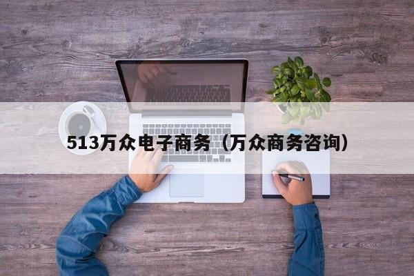 513万众电子商务（万众商务咨询）