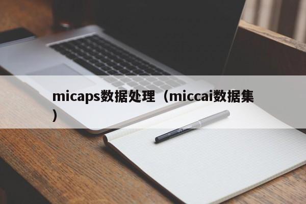 micaps数据处理（miccai数据集）