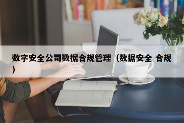 数字安全公司数据合规管理（数据安全 合规）